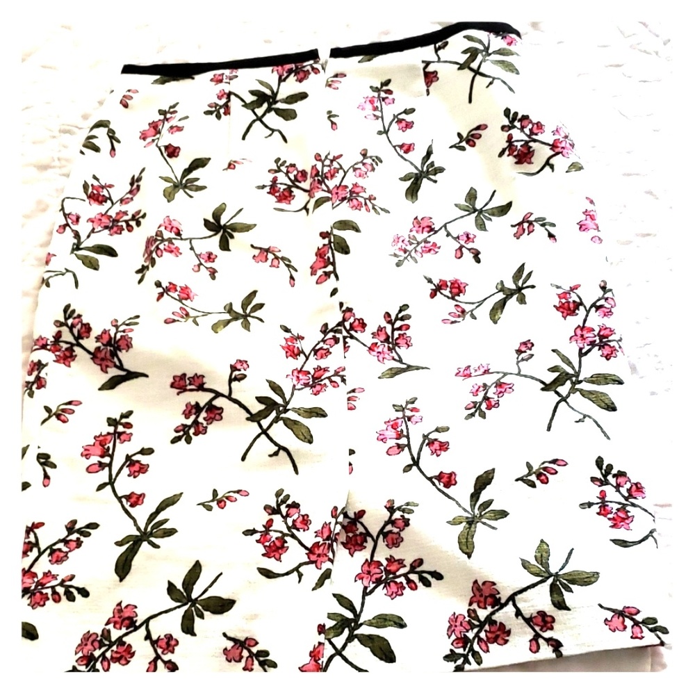 Ann Taylor Skirt 00P
